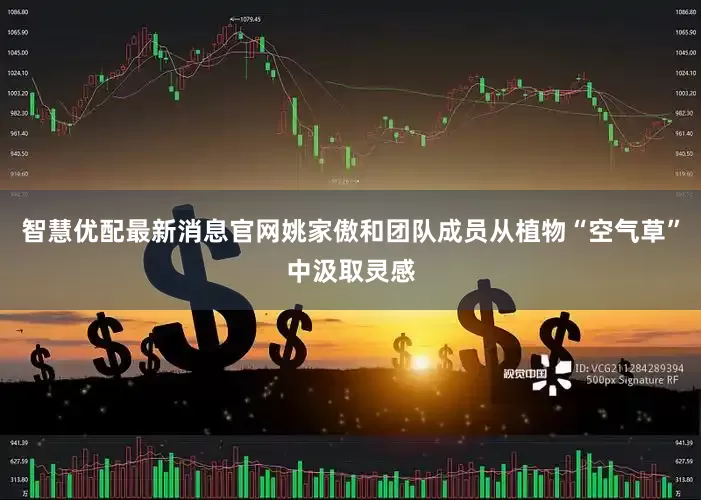 智慧优配最新消息官网姚家傲和团队成员从植物“空气草”中汲取灵感