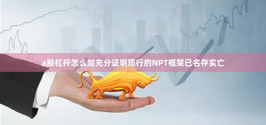 a股杠杆怎么加充分证明现行的NPT框架已名存实亡