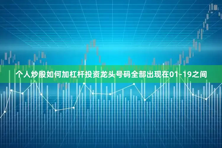 个人炒股如何加杠杆投资龙头号码全部出现在01-19之间