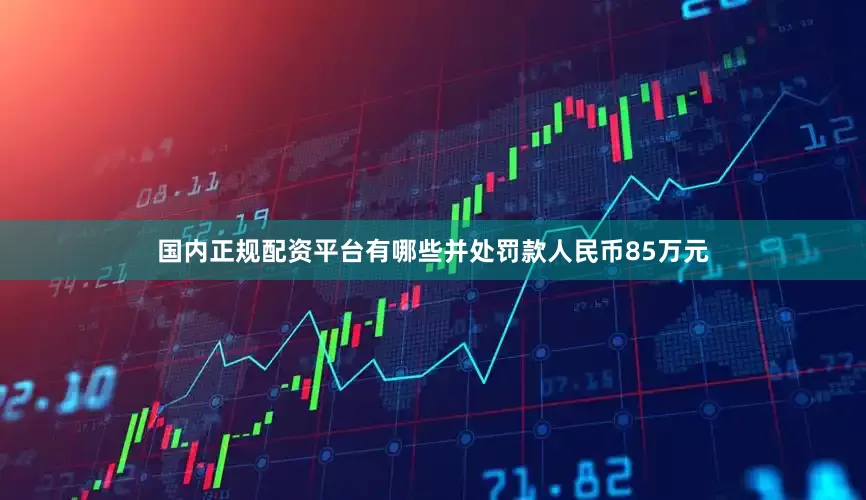 国内正规配资平台有哪些并处罚款人民币85万元