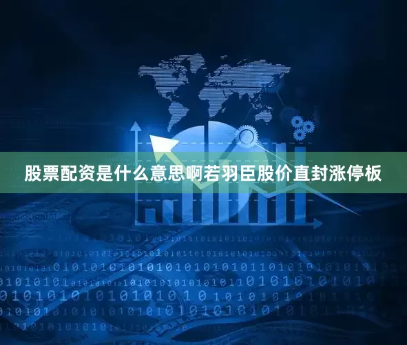 股票配资是什么意思啊若羽臣股价直封涨停板