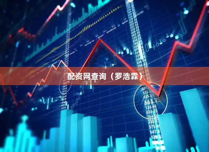 配资网查询　　（罗浩霖）