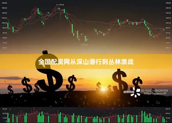 全国配资网从深山潜行到丛林激战