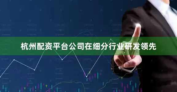 杭州配资平台公司在细分行业研发领先