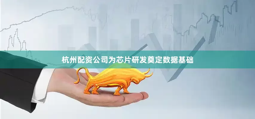 杭州配资公司为芯片研发奠定数据基础