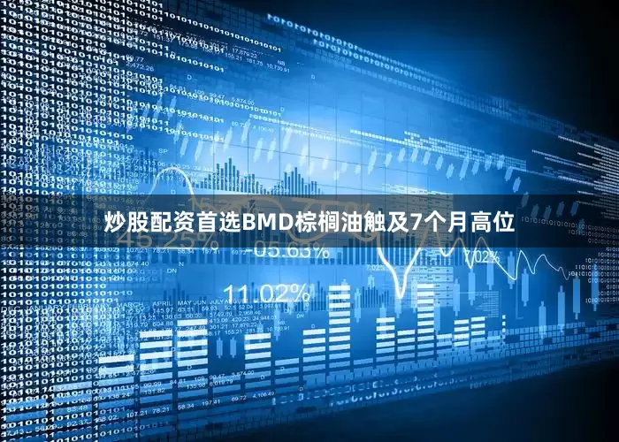 炒股配资首选BMD棕榈油触及7个月高位